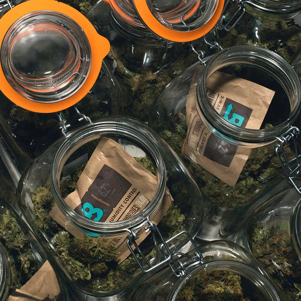 Boveda 1g 62% x 1500 unwrapped - BigBox