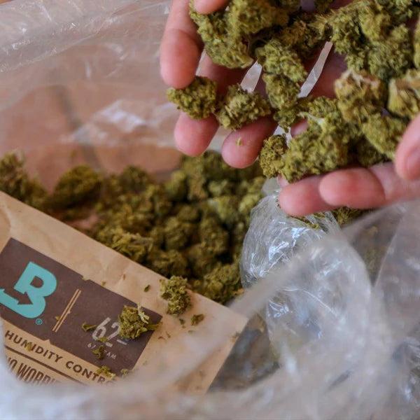 Boveda 1g 62% x 1500 unwrapped - BigBox