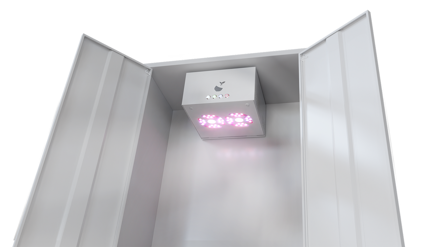 Hazelbox Ultrawhite