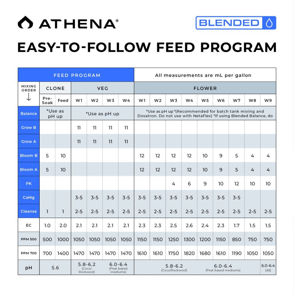 Athena Blended Line - Starter Paket