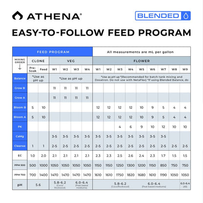 Athena Blended Line - Starter Paket