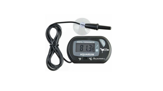Digital Thermometer