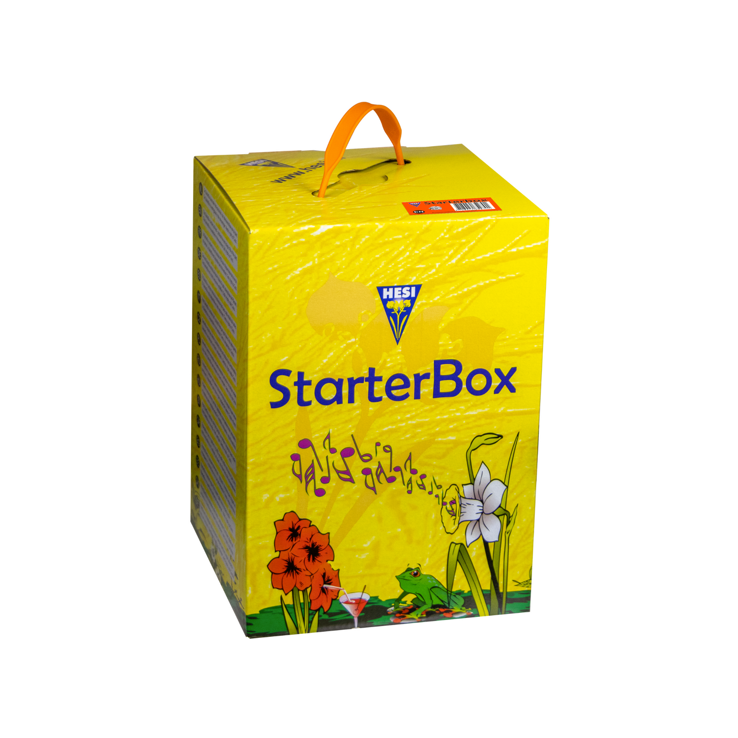 HESI StarterBox Coco