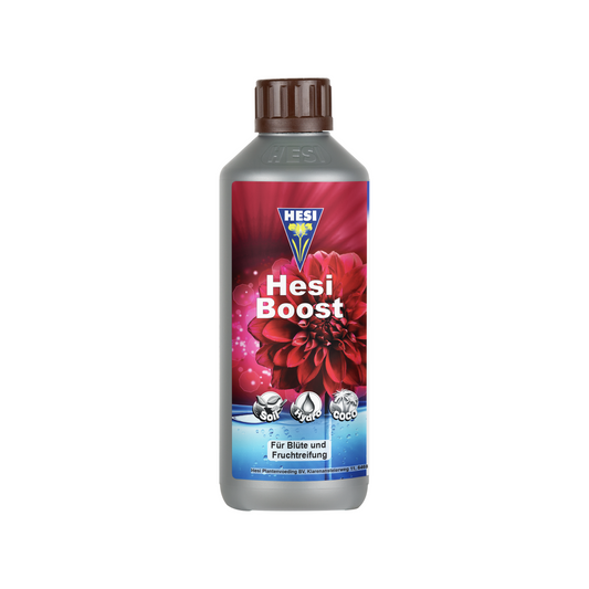 HESI Boost