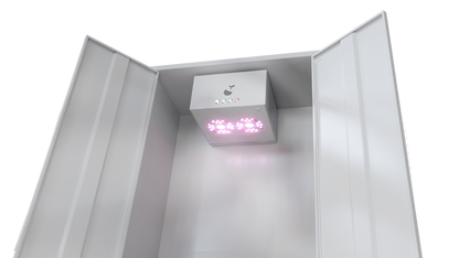 Hazelbox Ultrawhite